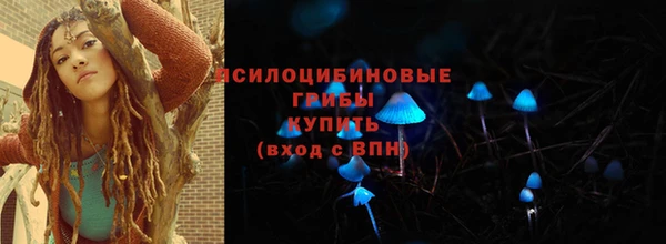 a pvp Карпинск