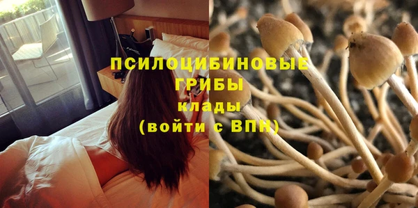 a pvp Карпинск