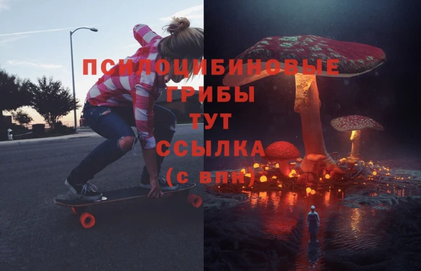 гашиш Касимов