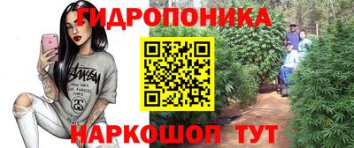 шишки Апрелевка