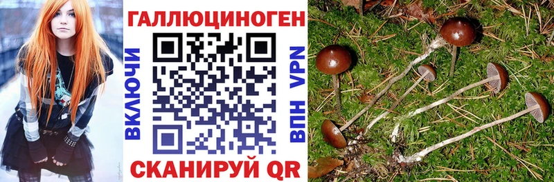 ссылка на мегу маркетплейс  Череповец  Галлюциногенные грибы Magic Shrooms 