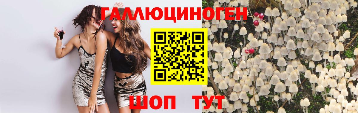 Череповец  Галлюциногенные грибы Magic Shrooms  Вход с VPN 